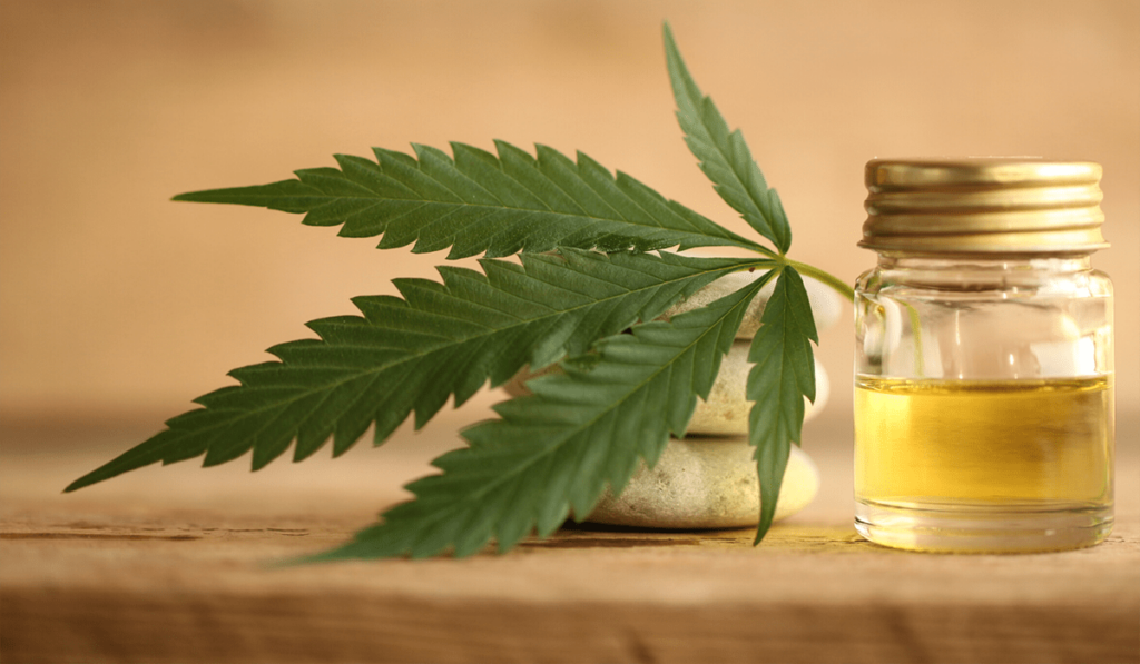 How CBD Oil Is Made - The CBD Manufacturing Process