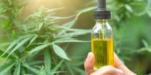How CBD Oil Is Made – The CBD Manufacturing Process